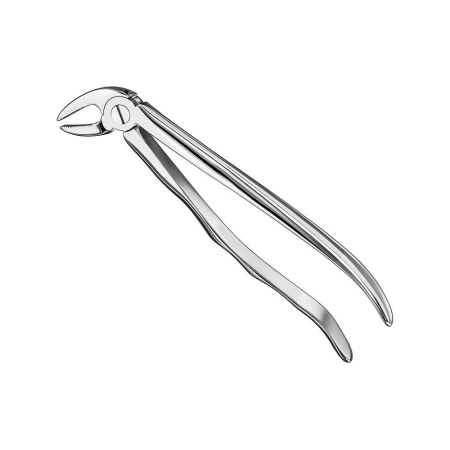 Extracting forceps, engl
